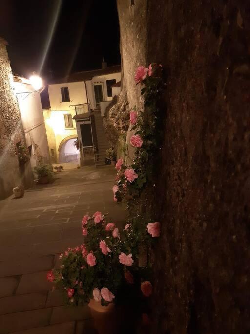 Casa Il Girasole Villa Boccheggiano Eksteriør billede