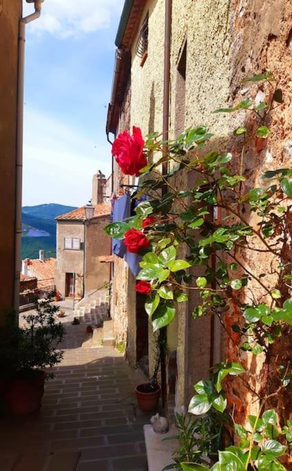 Casa Il Girasole Villa Boccheggiano Eksteriør billede