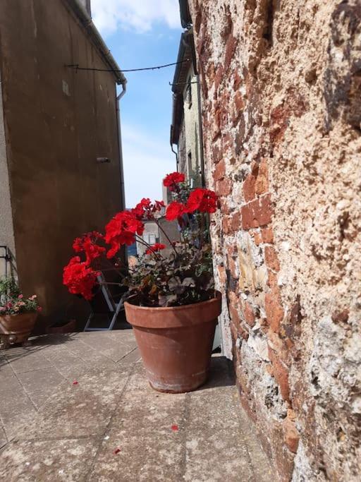 Casa Il Girasole Villa Boccheggiano Eksteriør billede