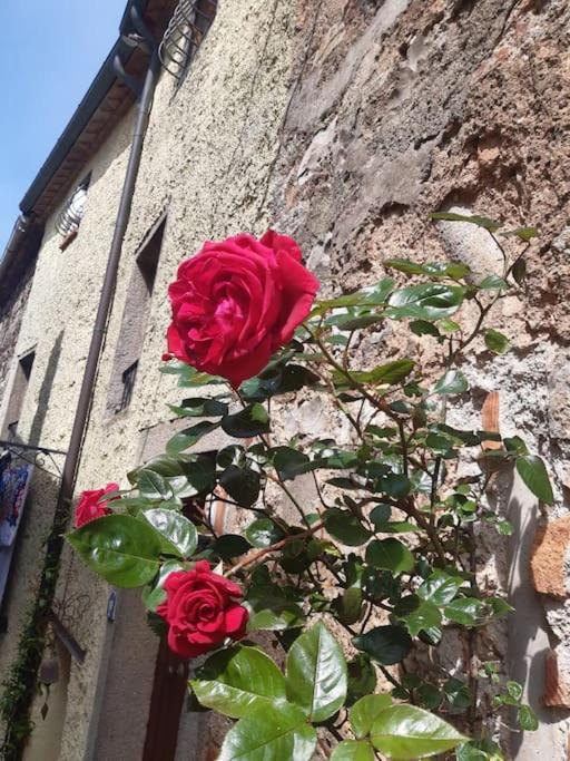 Casa Il Girasole Villa Boccheggiano Eksteriør billede